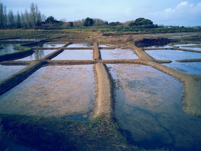 Moizan Julien, Couvreur à Batz-sur-Mer