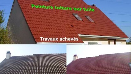 Nettoyage : Demoussage/Toiture/Chambéry 73 Réparation Sur Toiture, Couvreur à Chambéry