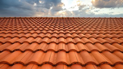 LAFLEUR LIVAIL, Couvreur à Leuville-sur-Orge