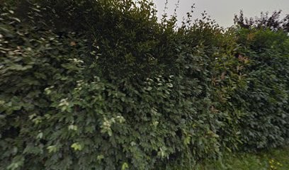 Le Roux Pere Et Fils, Couvreur à Bonneville-sur-Touques