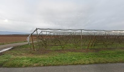 Toitures Dauphinoises Charpente Et Couvreur Valence, Charpente Et Couvreur Chabeuil,, Couvreur à Châteauneuf-sur-Isère