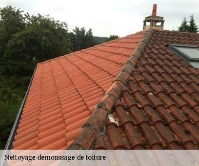 Couvreur Lamballais | Réparation Fuites Toiture Gouttières Couverture Peinture Élagage Côtes-d'Armor 22 St-Brieuc, Couvreur à Andel