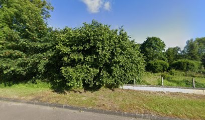 Boulay Philippe, Couvreur à Falaise