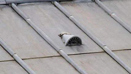 Les Compagnons Couvreurs Lorrains, Couvreur à Essey-lès-Nancy