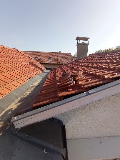 Angelo Leffler, Couvreur à Lescar