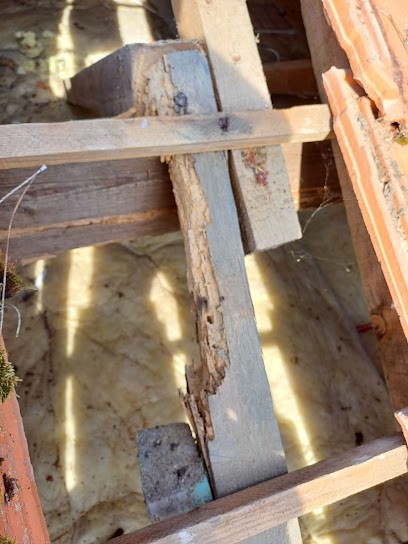 Couverture D.B.S, Couvreur à Royan