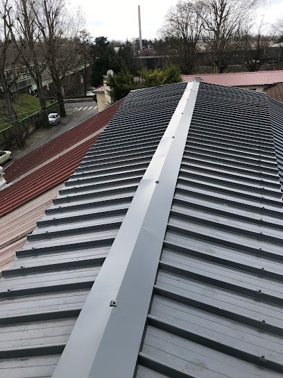 Benicourt couverture générale, Couvreur à Champs-sur-Marne