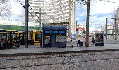 Scherrer Services Entretiens, Couvreur à Mulhouse