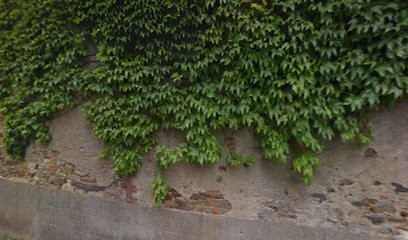 BOUCHAT COUVERTURE, Couvreur à Plessé