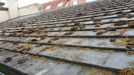 Entreprise delage-renov, Couvreur à Plivot