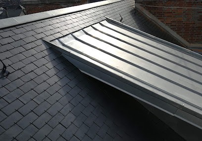 DAMIE TOITURES, Couvreur à Arbin