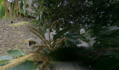 Chabassiere David, Couvreur à Saint-Maigner