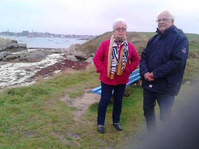 Damien Morvan Couverture, Couvreur à Plounéour-Brignogan-plages