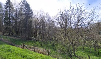 Rivet Patrick, Couvreur à Longny les Villages