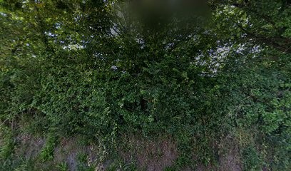 Caboy Jean-Luc, Couvreur à Tarnès