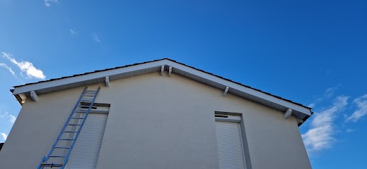 Project Habitat :néttoyage, Rénovation&traitement De Toiture,démoussage,habillage Bandeaux De Rive,pose Chéneaux Et Gouttiére, Couvreur à Theizé