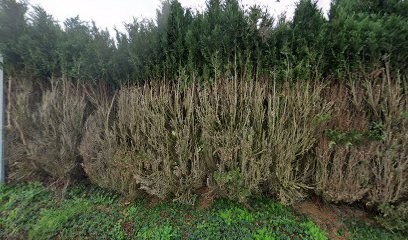 Baudet Sébastien, Couvreur à Plédran