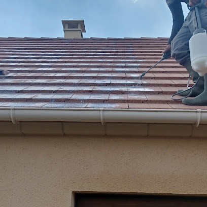 Rénovation De La Sologne Demoussage Nettoyage Peinture Traitement Hydrofuge Pose De Velux Goutières Couverture Zinguerie, Couvreur à Gièvres