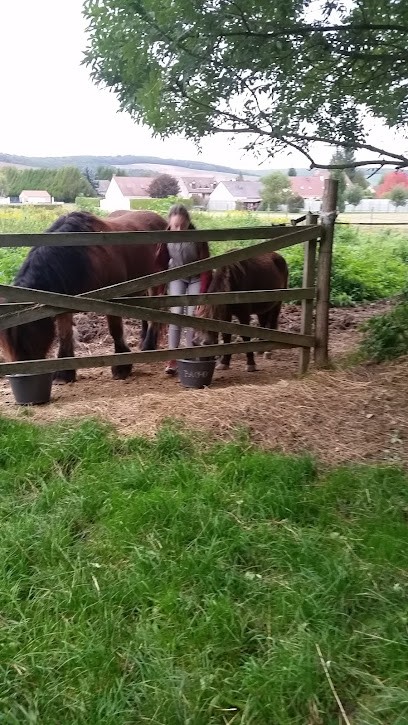 Bourdon Olivier, Couvreur à Malay-le-Grand