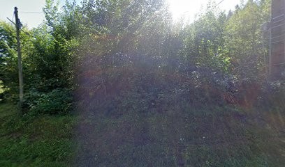 Batot Julien, Couvreur à Mandray