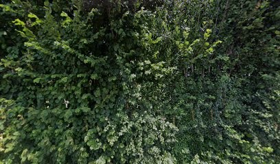 Savignac Couverture, Couvreur à Drulhe