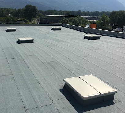 THIRIET ETANCHEITE, Couvreur à Rives