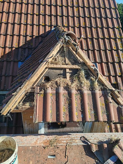 Flo Rénovation, Couvreur à Plainville