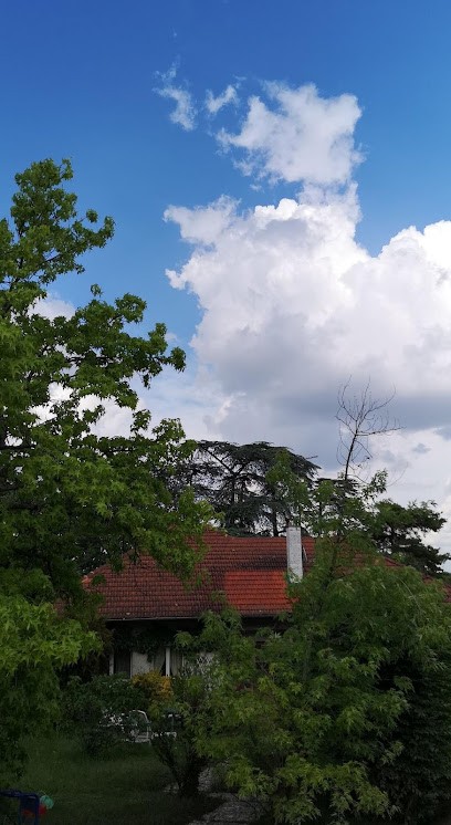 Lagrenée Jordan, Couvreur à Sorgues