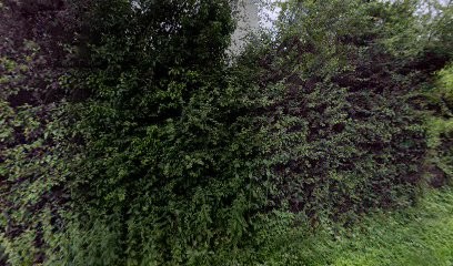 ART COUVERTURE, Couvreur au Renouard