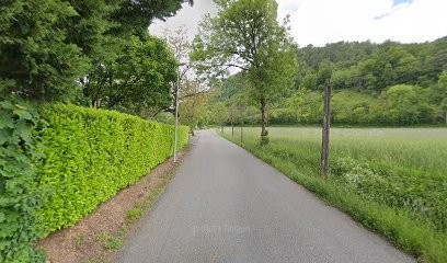 Puech Bruno, Couvreur à Muret-le-Château