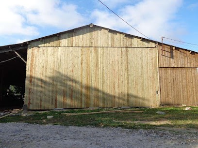 Rouault Didier, Couvreur à Pléchâtel