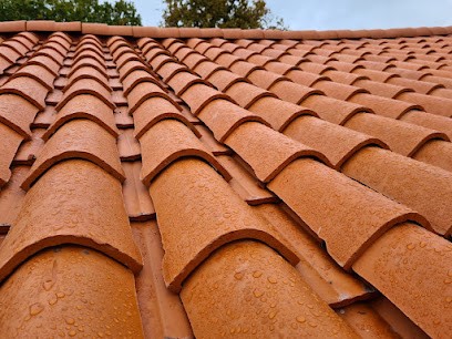 David Debard Nettoyage demoussage toiture et facade traitement hydrofuge La Roche Sur Yon, Couvreur à La Roche-sur-Yon