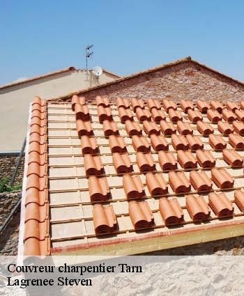 LAGRENEE STEVEN COUVERTURE, Couvreur à Lavaur