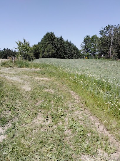 Sauret Jean-Claude, Couvreur à Saint-Gervais-d'Auvergne