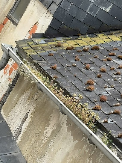 Entreprise De Couverture Quinet, Couvreur à Chambray-lès-Tours