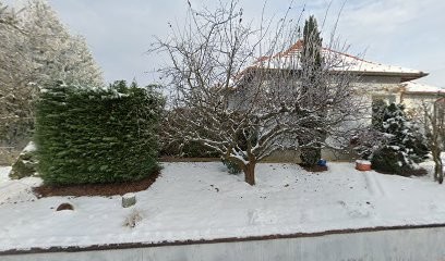 Potier Vincent, Couvreur à Romanswiller