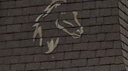 Picot Patrice, Couvreur à Auvillars