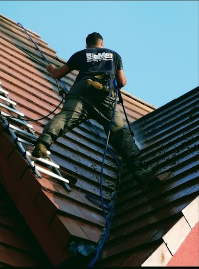 COUVREUR EXPRESS DEMOUSSAGE David Adolphe A Votre Service, Couvreur à Illkirch-Graffenstaden