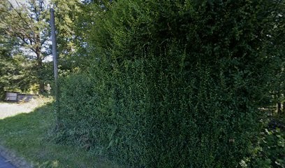 Selosse Artisan, Couvreur à Saint-Laurent-sur-Gorre