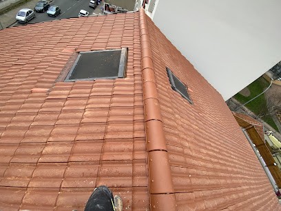 Solutions Habitat, Couvreur à Villerest