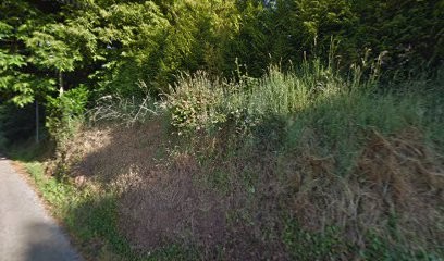 Gourvès Christian, Couvreur à Landudal