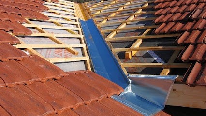 BIBAUT RÉNOVATION Couvreur 54 Zinguerie & Façade, Couvreur à Toul