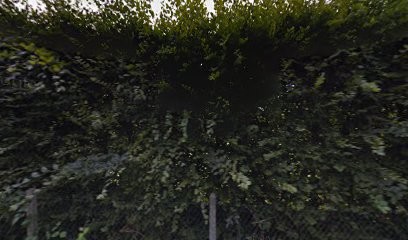 Labbey Vincent, Couvreur à Valsemé