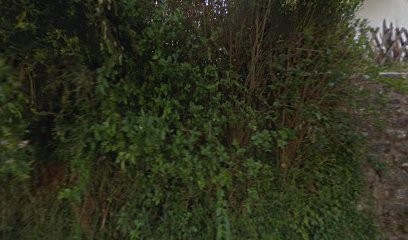 Sauvée Couverture, Couvreur à Elliant