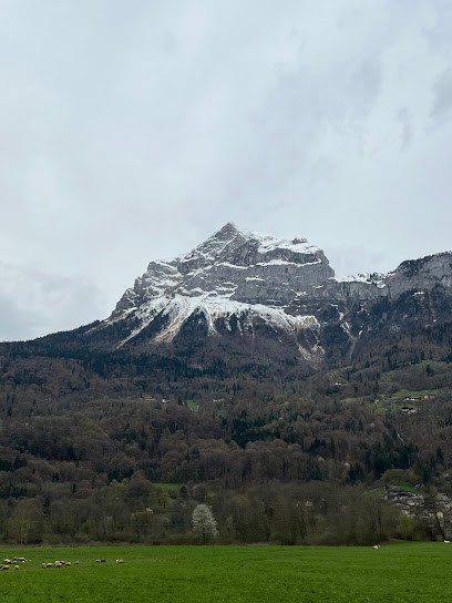 Soin Habitat, Couvreur à Cluses