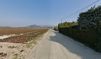 MZ Marangoni Zinguerie, Couvreur à La Laupie