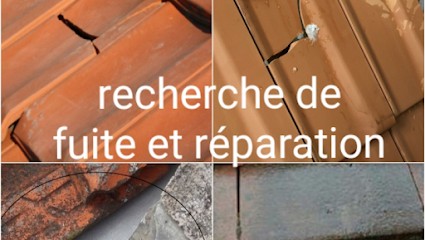 Cd artisan couvreur demoussage nettoyage toiture recherche de fuite, Couvreur à La Roche-sur-Yon