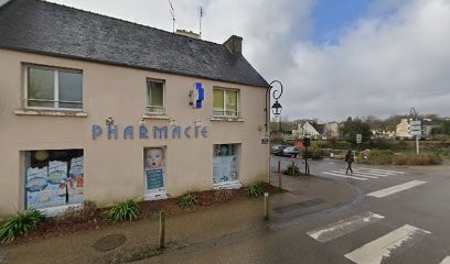 Henry Nicolas, Couvreur à Hôpital-Camfrout