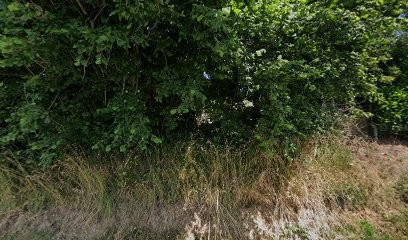 Benney Sylvain, Couvreur à Manéglise