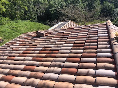 DOMBES TOITURES, Couvreur à Savigneux